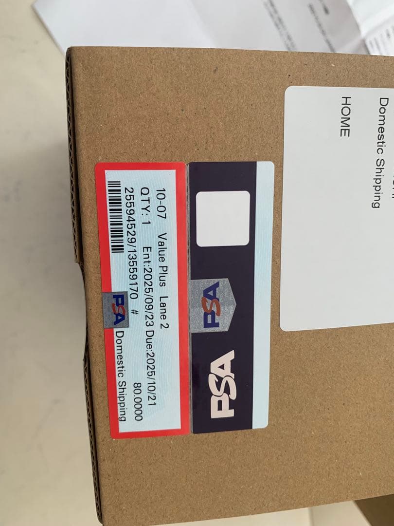 遊戯王 レッドアイズブラックドラゴン レリーフ PSA7