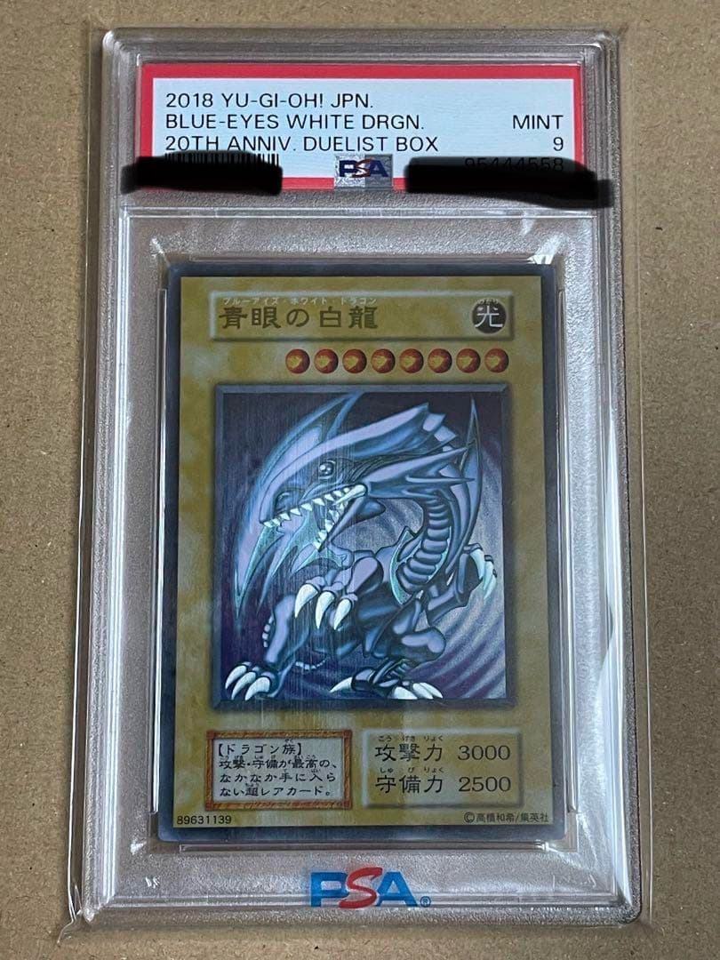 ブルーアイズステンレスPSA9
