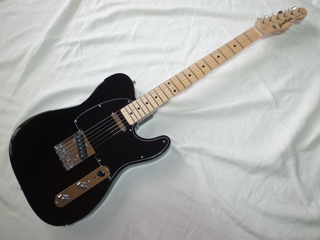 超美品　ESP GrassRoots G-TE/M テレキャスター