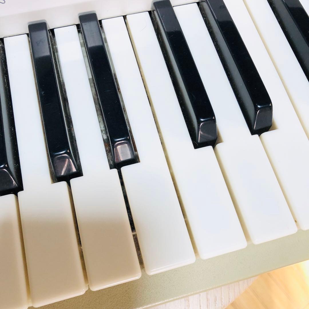 CASIO 電子ピアノ 光ナビゲーションキーボード LK-203TV