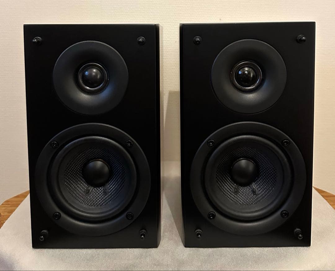 PioneerパイオニアスピーカーS-CN301-LR