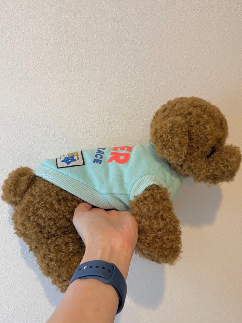 ★ハンドメイド★ もふもふ トイプードル ぬいぐるみ レッド 大サイズ