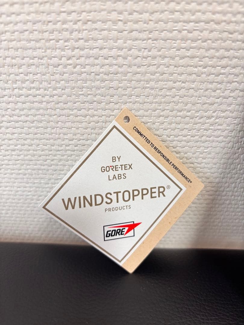 【2025年モデル】アークテリクス ベンタグローブ M（正規品）