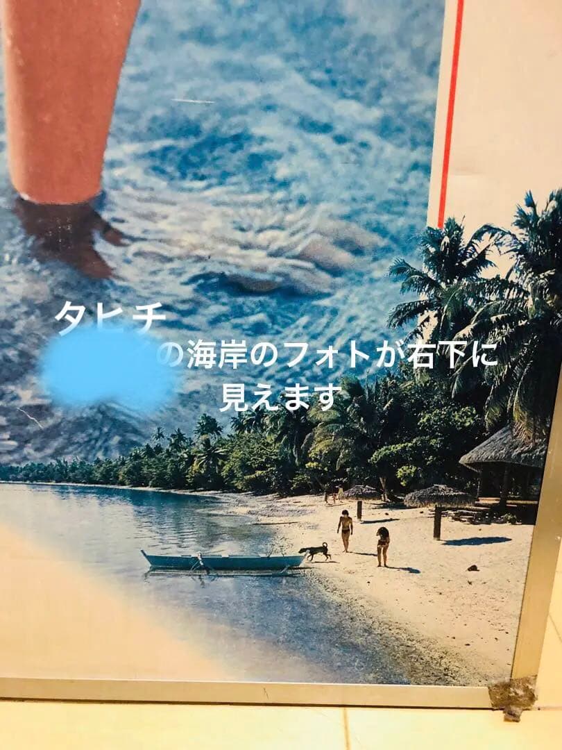 希少！ハワイの女神アグネス・ラム　パネル　トヨタスプリンター　1976年ブレイク