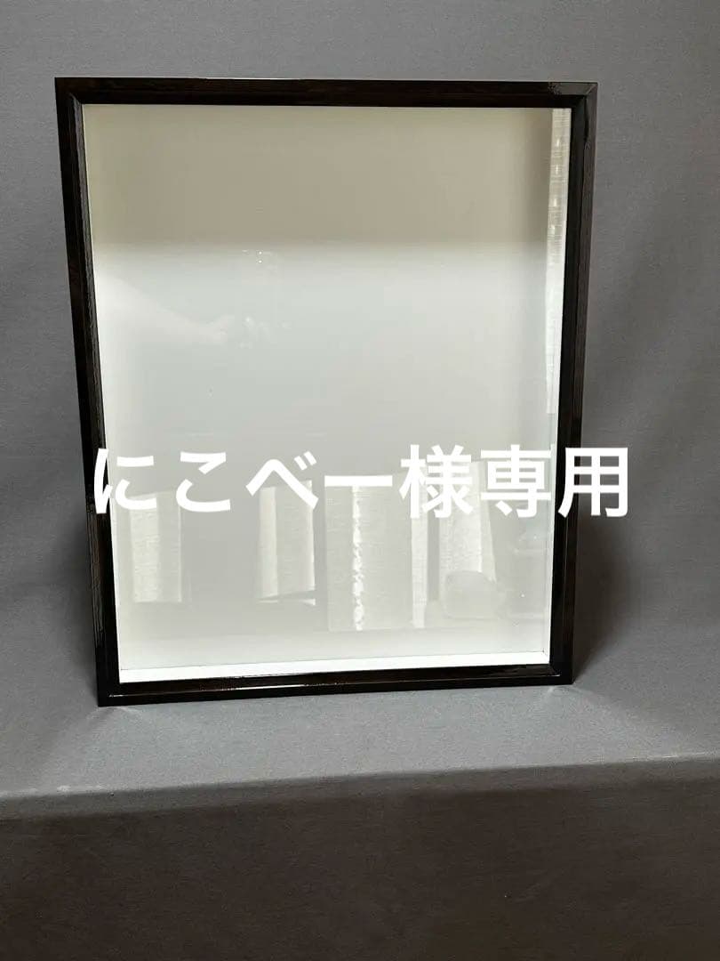 志賀昆虫　ドイツ箱