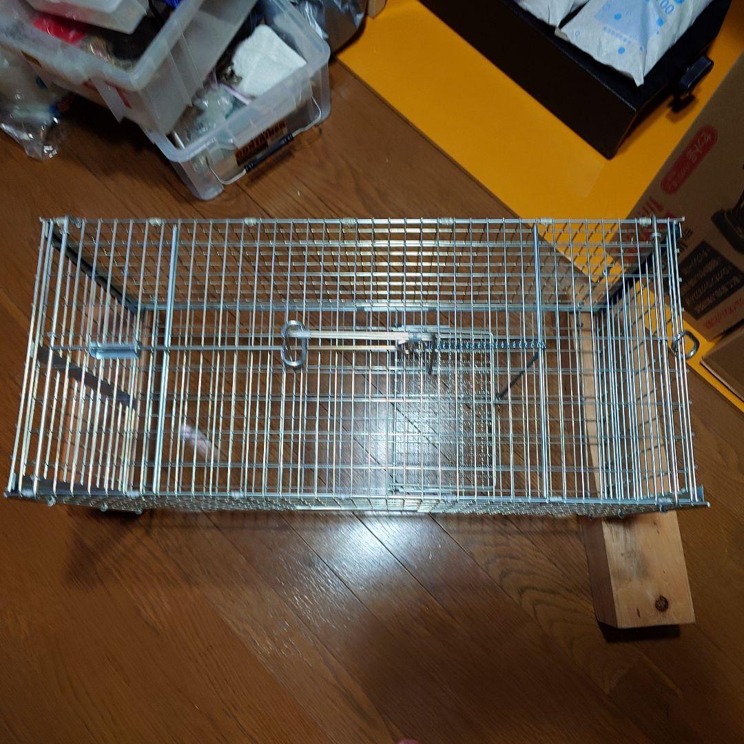 捕獲器 丸十金網株式会社 猫の保護器