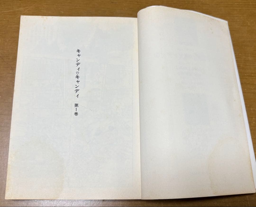 キャンディキャンディ全巻　文庫本