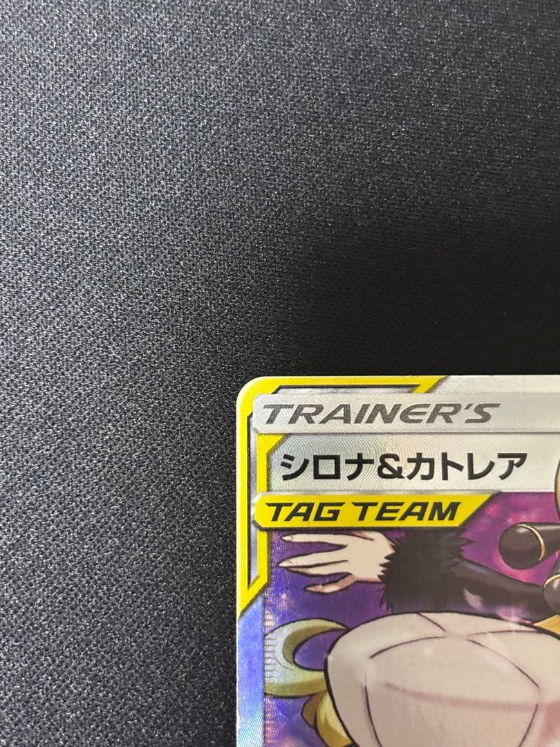 シロナアンドカトレアsr