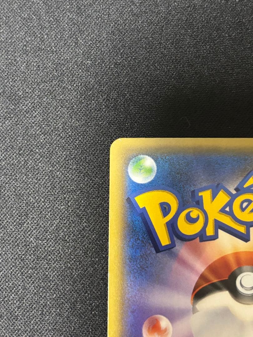 シロナアンドカトレアsr