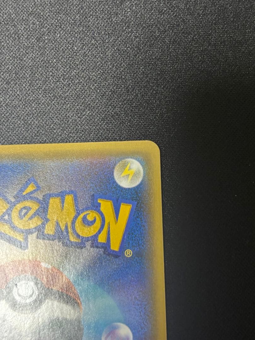 シロナアンドカトレアsr