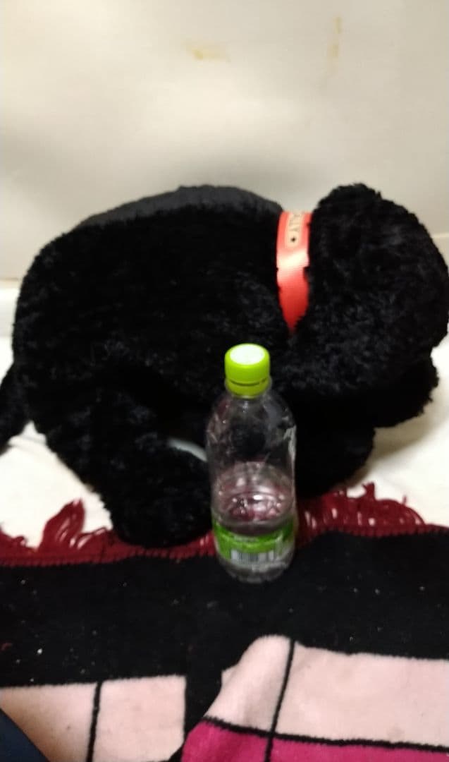 ステファンヒューネック ぬいぐるみ サリー