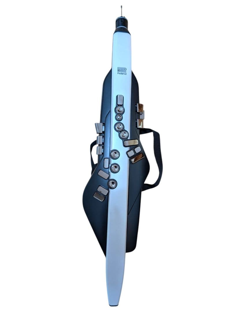 Roland AE-20 ローランド エアロフォン ウィンドシンセサイザー