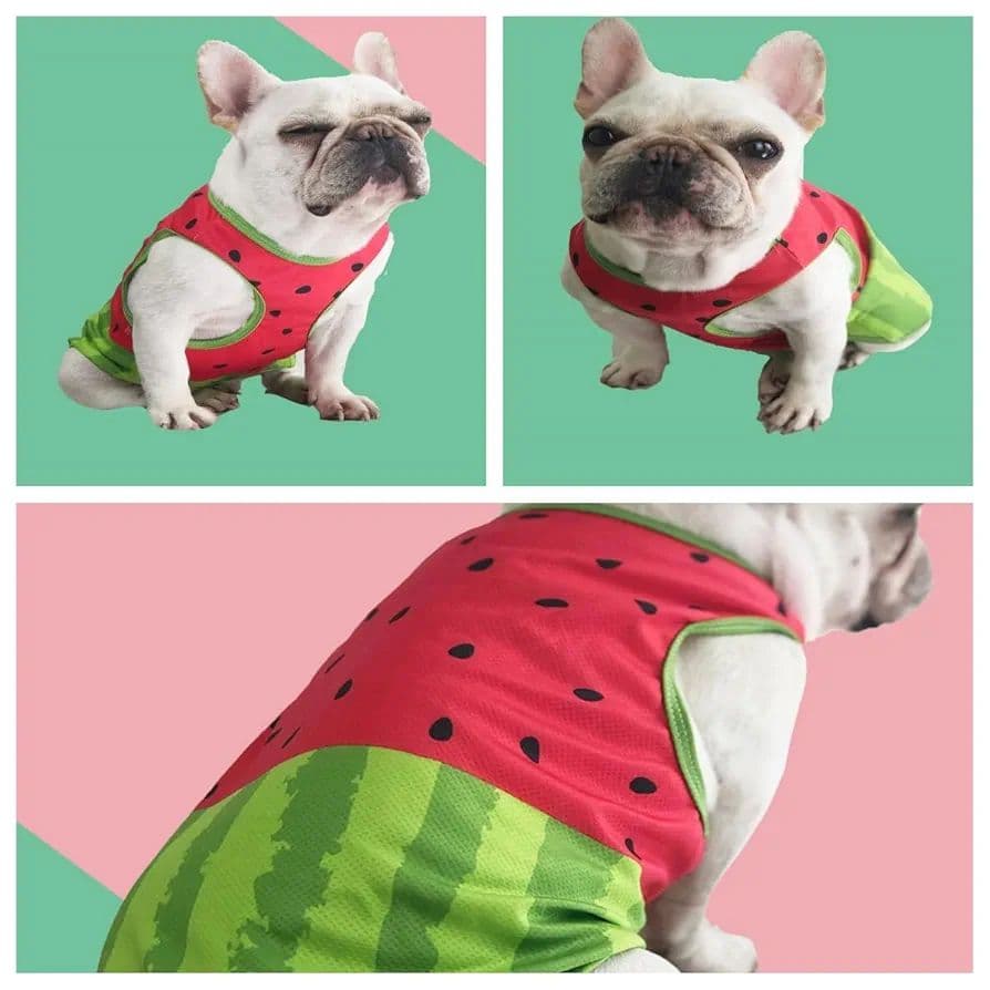 zhendehenziyou ペット服 夏用 犬 スイカ XL