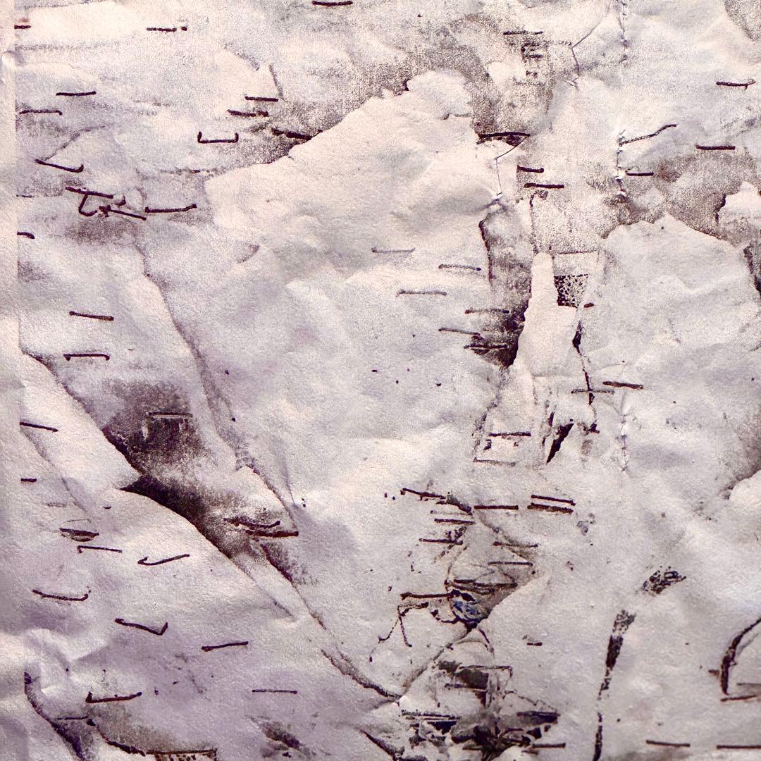 【新ジャンル誕生】Reflect-Print｜現代アート✖️山水画