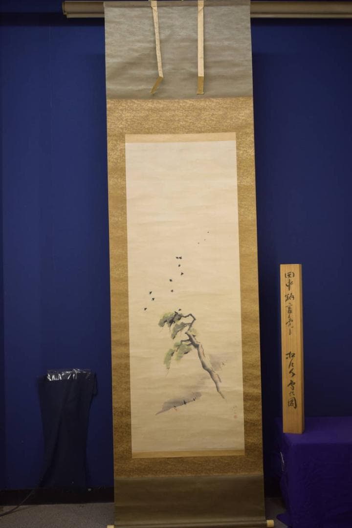 真作/田中納言/松に鳥図/絹表装/桐題箱付/布袋屋掛軸HI-716