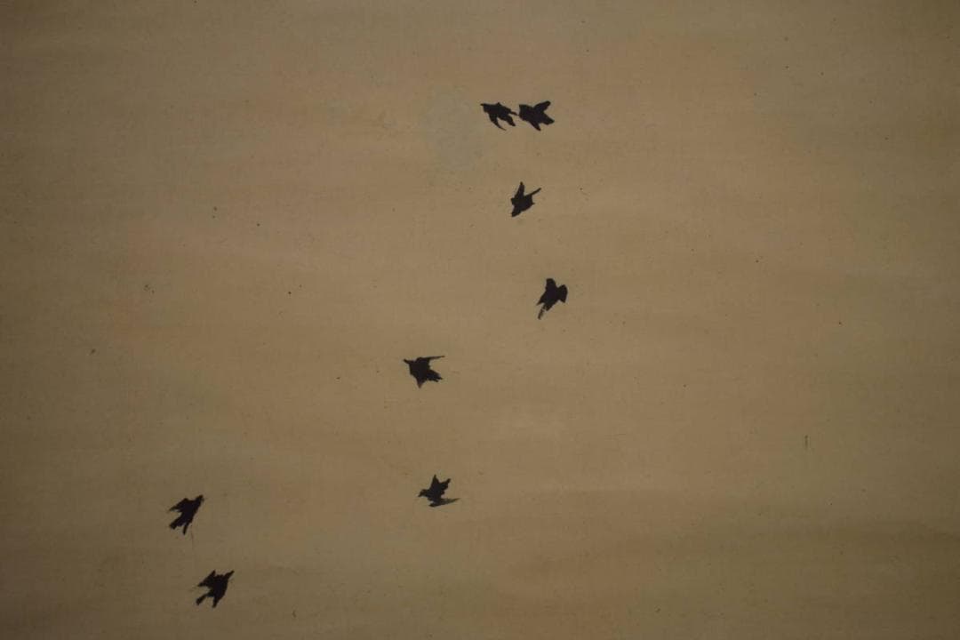 真作/田中納言/松に鳥図/絹表装/桐題箱付/布袋屋掛軸HI-716