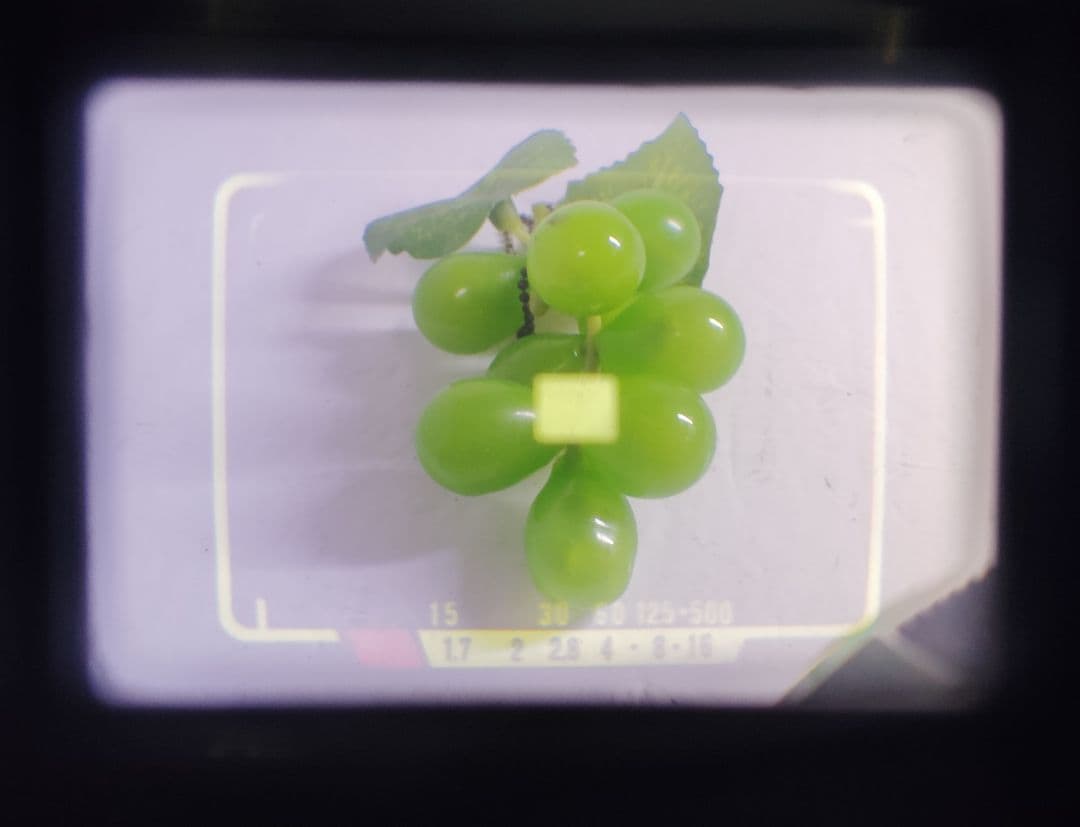 OLYMPUS 35DC（動作美品）