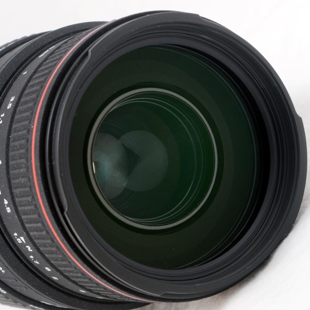 ★実用品★SIGMA シグマ 70-300mm APO DG MACRO ニコン