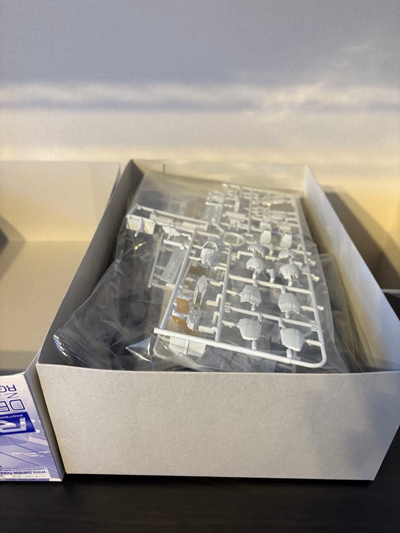 ＲＧ 1/144 デスティニーガンダム［チタニウムフィニッシュ］＋光の翼