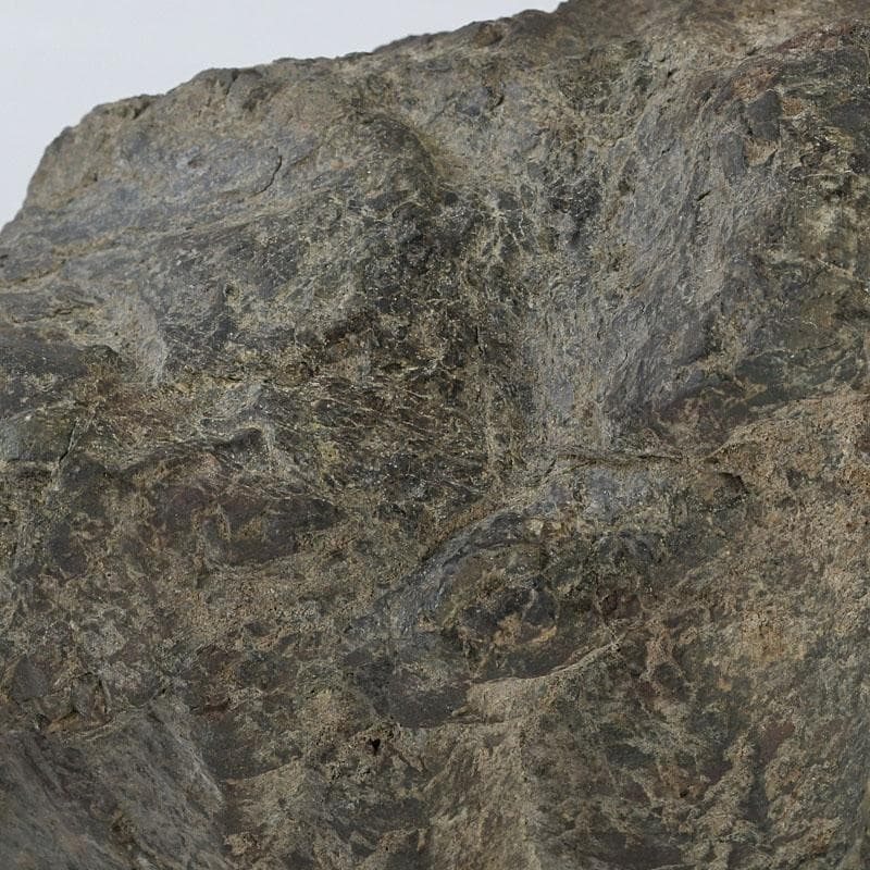 鑑賞石　天然石　菊花石　置物　台付　Z　9752