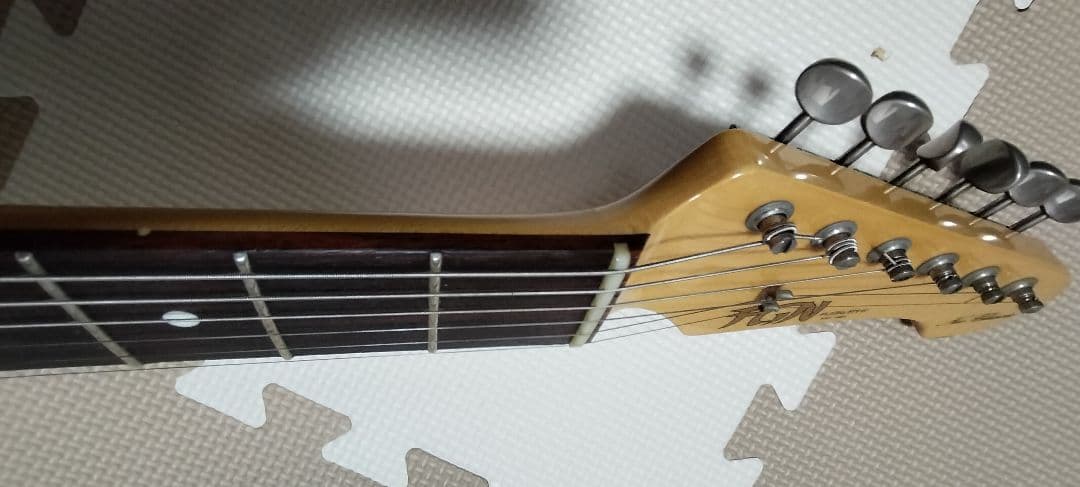 ギター Fujigen Neo Classic Series NCST-20R