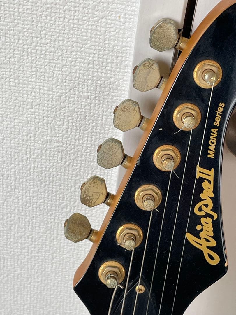 【カバー付き】Aria ProⅡ アリアプロ