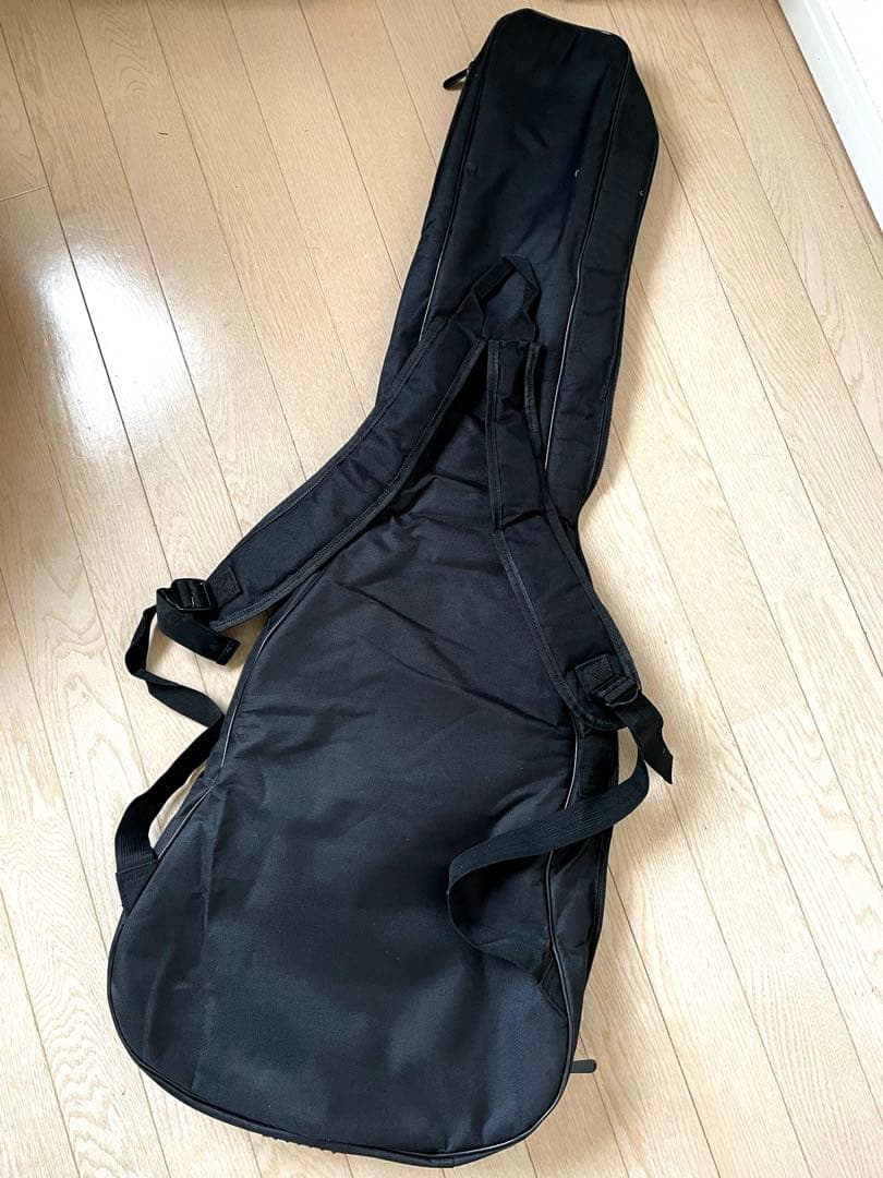 【カバー付き】Aria ProⅡ アリアプロ