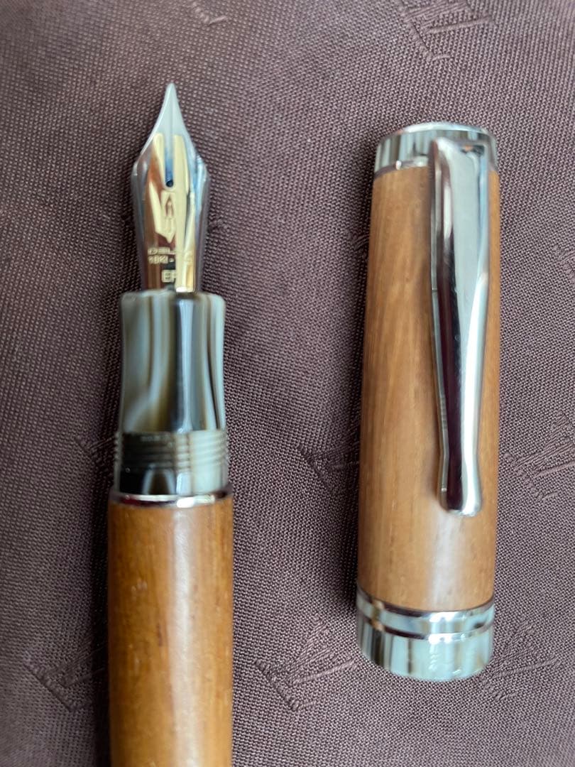 DELTA デルタ　万年筆　Sea Wood