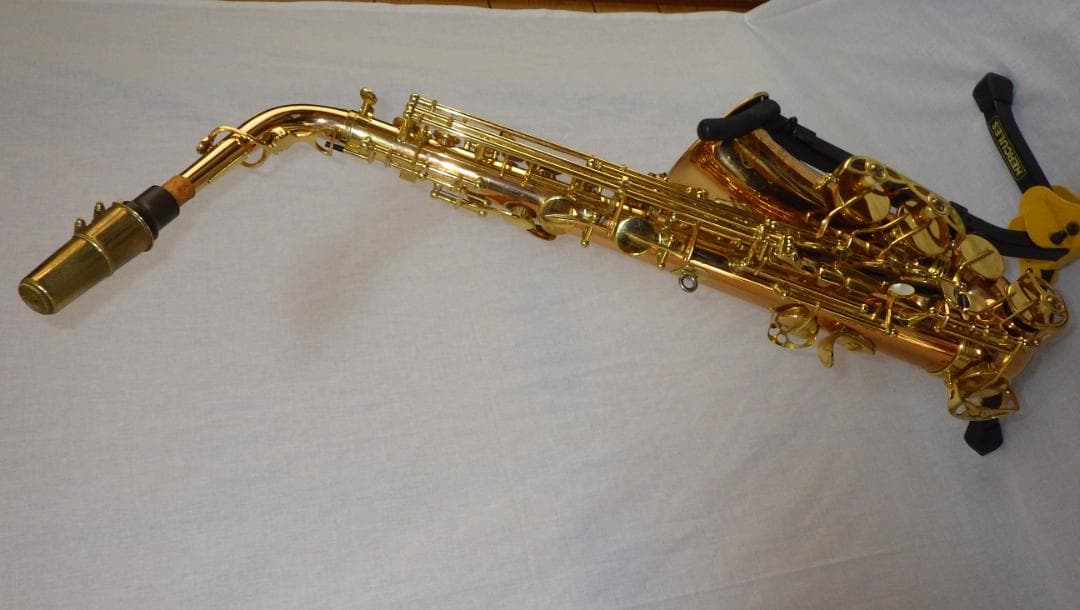 YANAGISAWA アルトサックス ヤナギサワ A-WO20