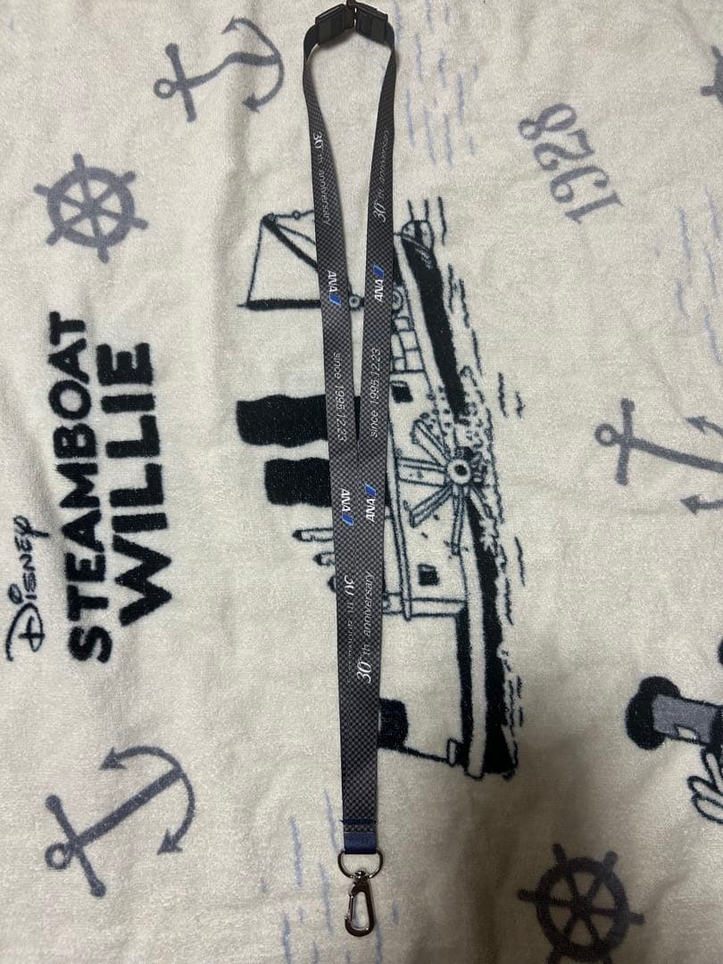 ボーイング777就航30周年記念品