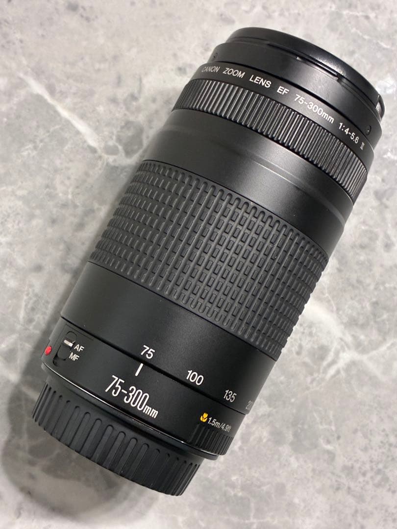 ⭐️美品⭐️キャノンCanon EF75-300mm F4-5.6 II 望遠レンズ