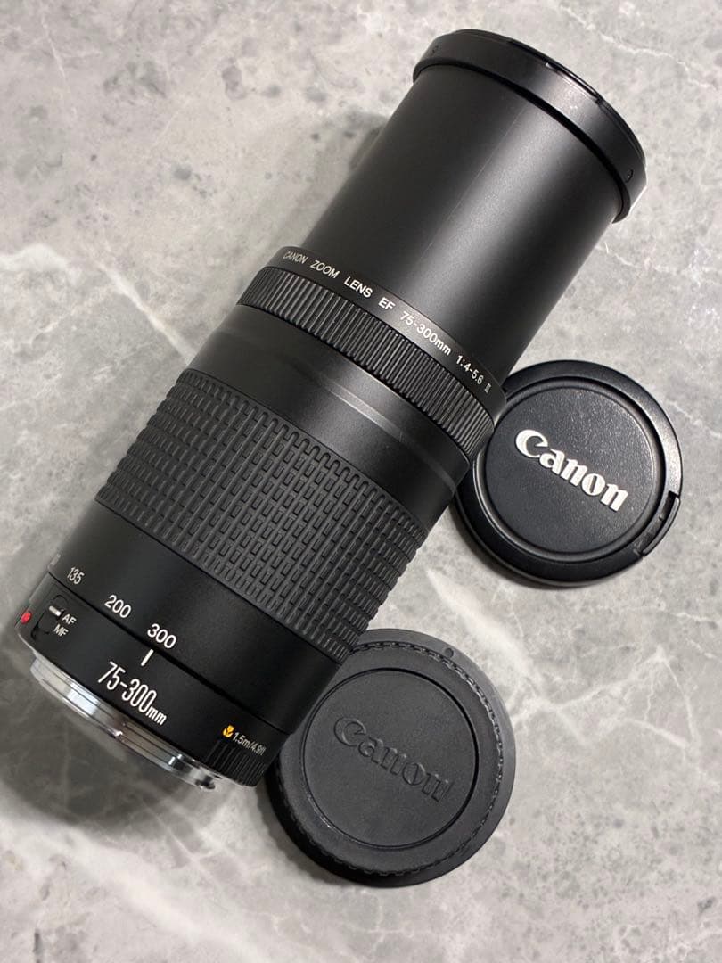 ⭐️美品⭐️キャノンCanon EF75-300mm F4-5.6 II 望遠レンズ