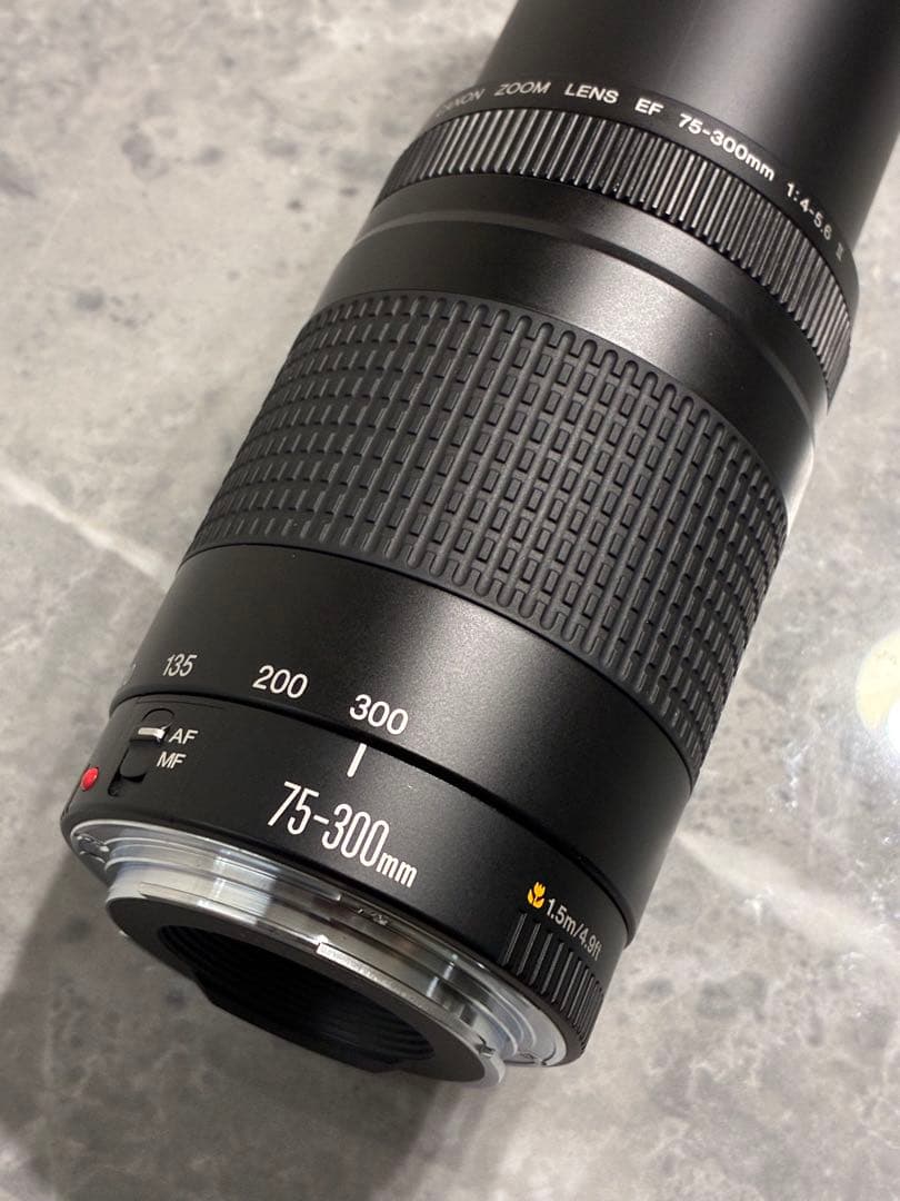 ⭐️美品⭐️キャノンCanon EF75-300mm F4-5.6 II 望遠レンズ