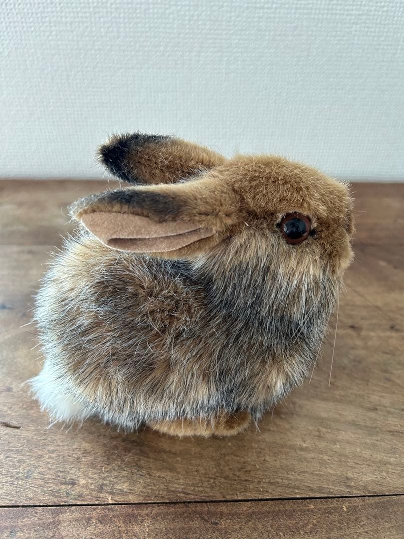 ケーセン　野うさぎ