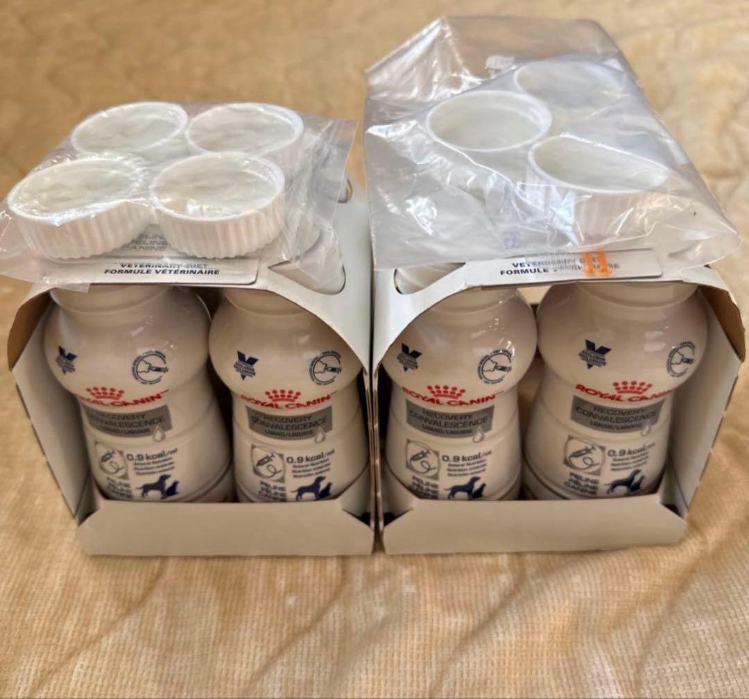 korai ロイヤルカナンクリティカルリキッド7本＋シリンジ2本