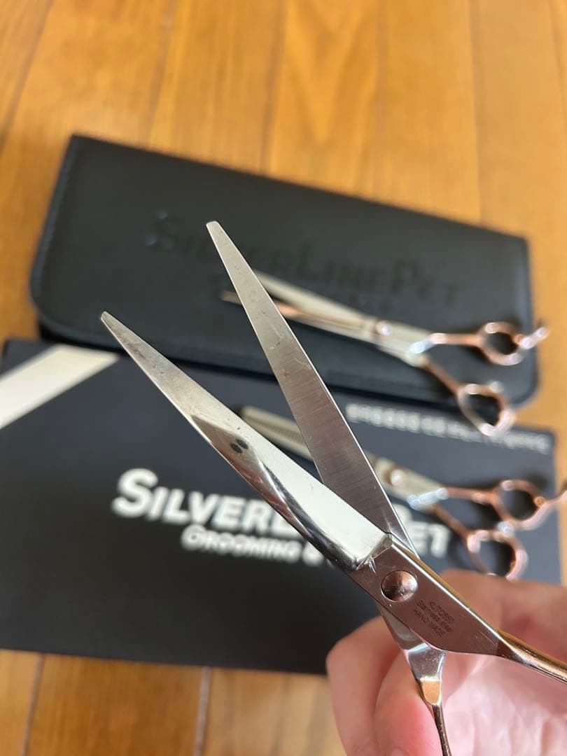 専用⭐️シルバーラインシザー、ケース付き
