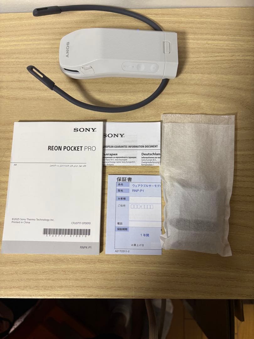 美品SONY REON POCKET PRO RNPK-P1 レオン プロ