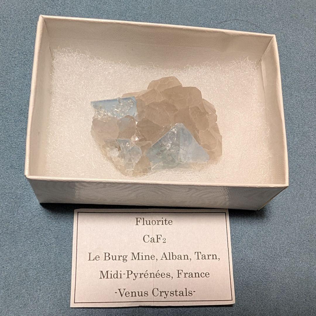 値下げ　フローライト　標本 フランス産