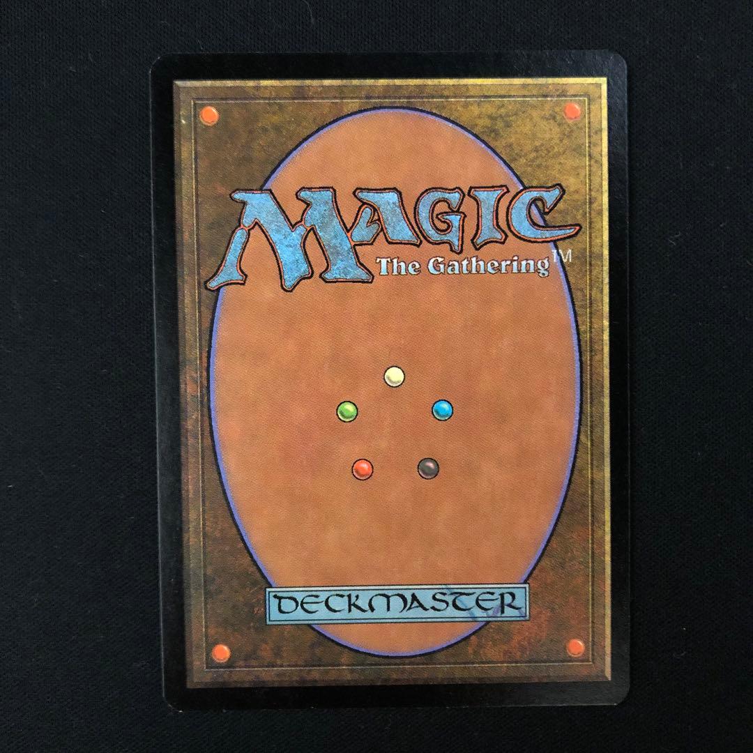 低木林地　英語　第7版　foil