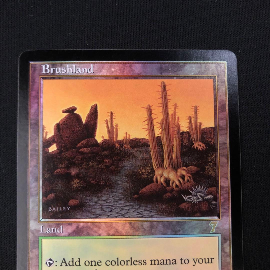 低木林地　英語　第7版　foil