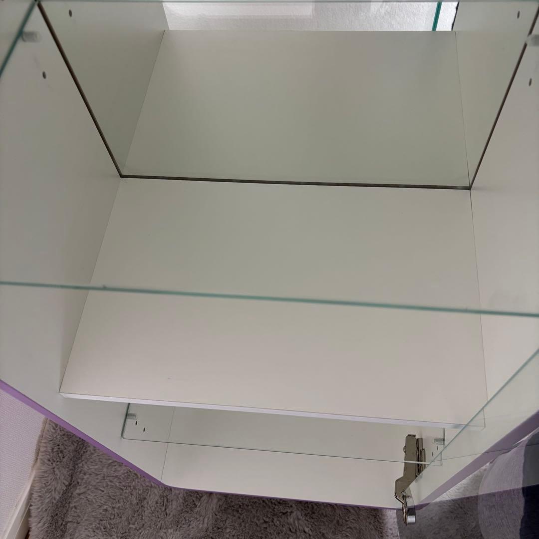 東谷　AZUMAYA コレクションシェルフ L ハイタイプ　パープル