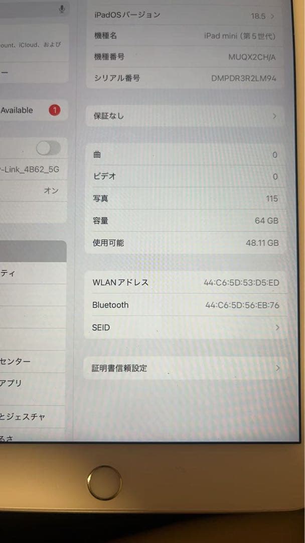 Apple iPad mini5 シルバー 本体(84%）