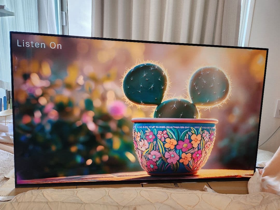 中古SONY 55インチ 有機ELテレビ フラッグシップ KJ-55A1 送料込