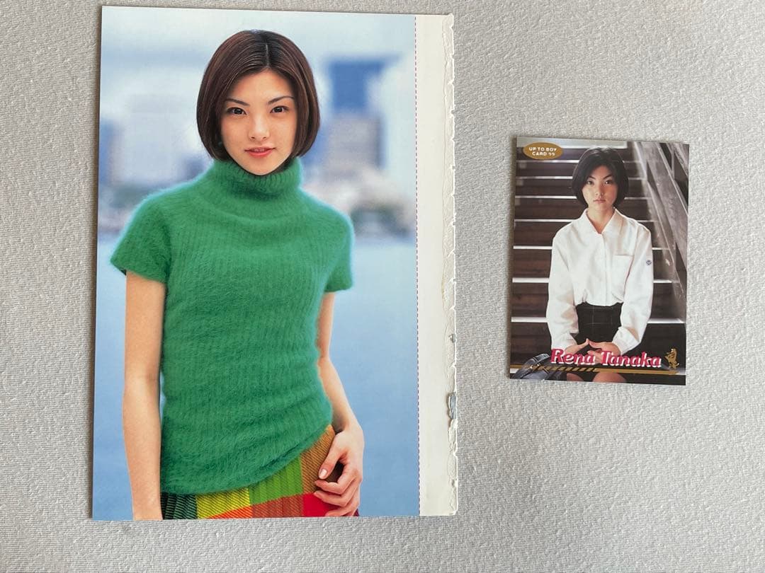 田中麗奈　抽プレ　サイン入り映画　よなよなペンギン　パンフレット、写真集、切取り