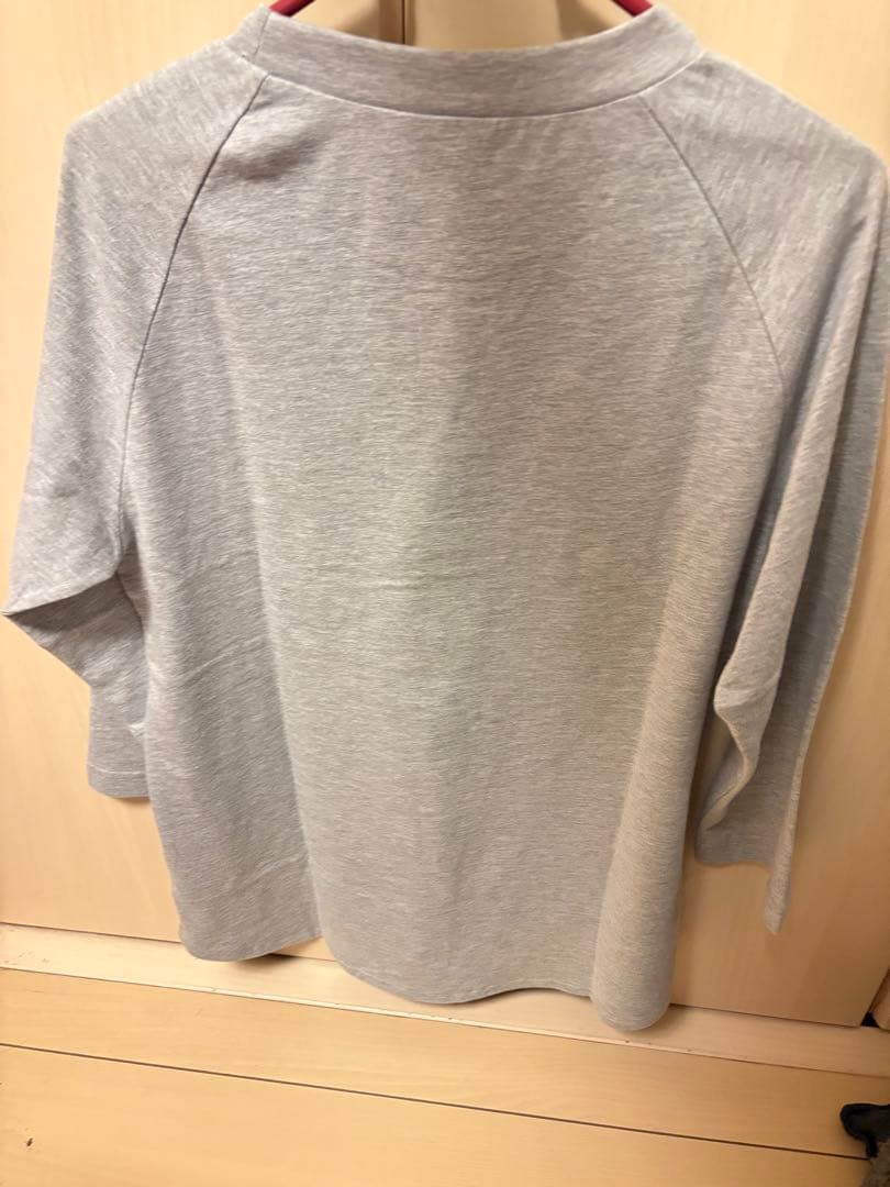 【非売品】RADWIMPS 〜おかずのごはん～ 復刻ラグランTシャツ　Mサイズ