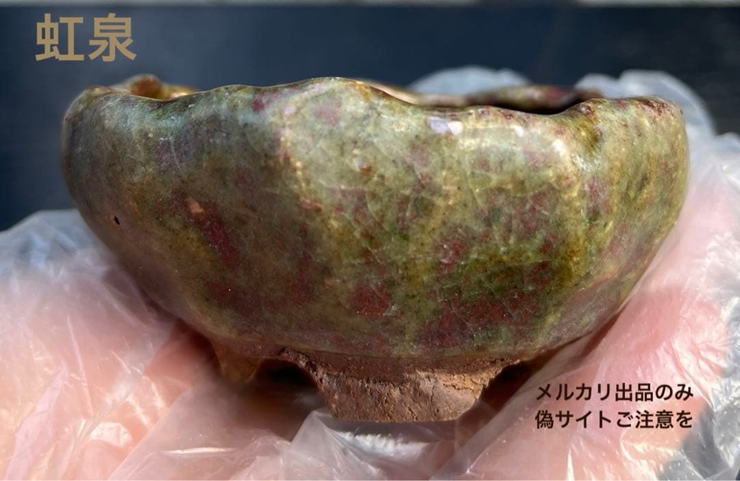 虹泉　盆栽鉢　小品　ミニ