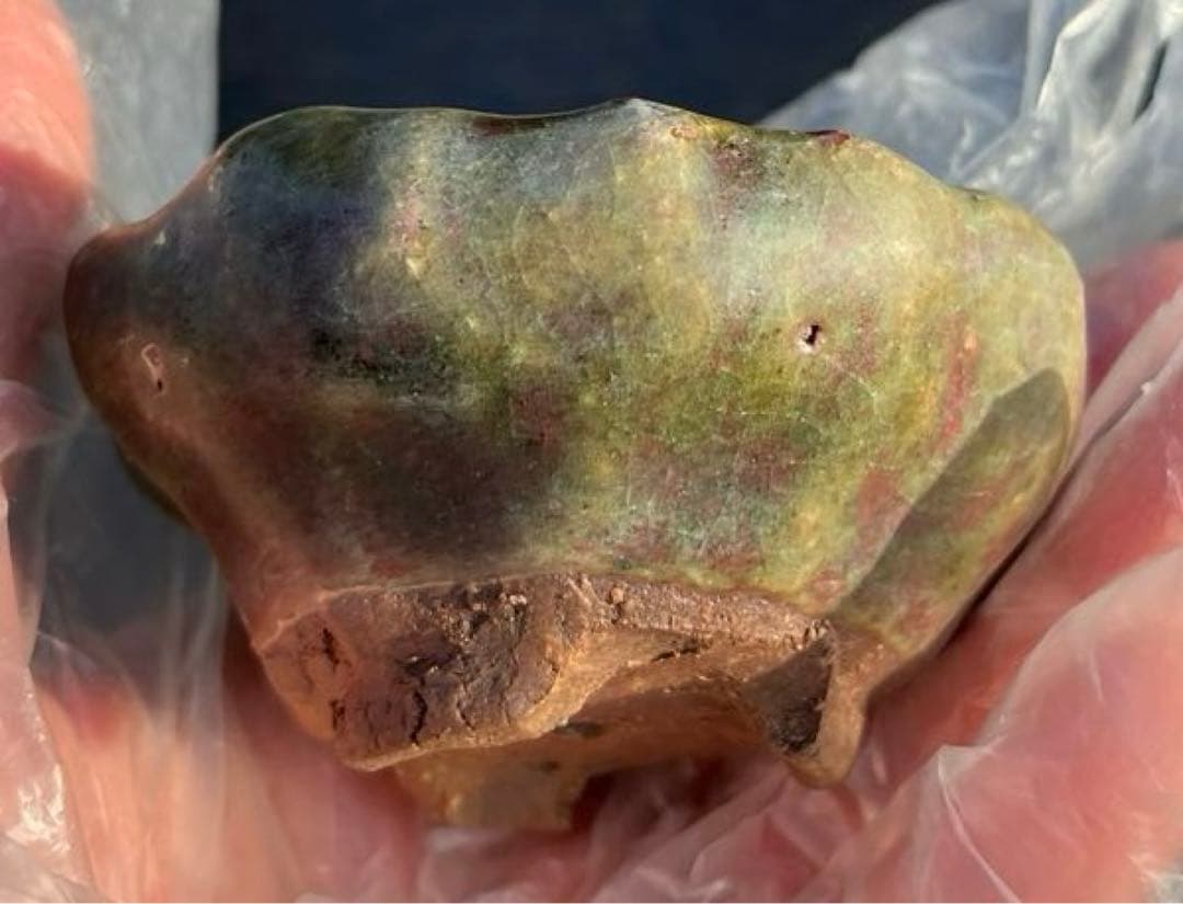 虹泉　盆栽鉢　小品　ミニ