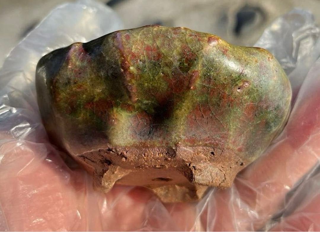 虹泉　盆栽鉢　小品　ミニ