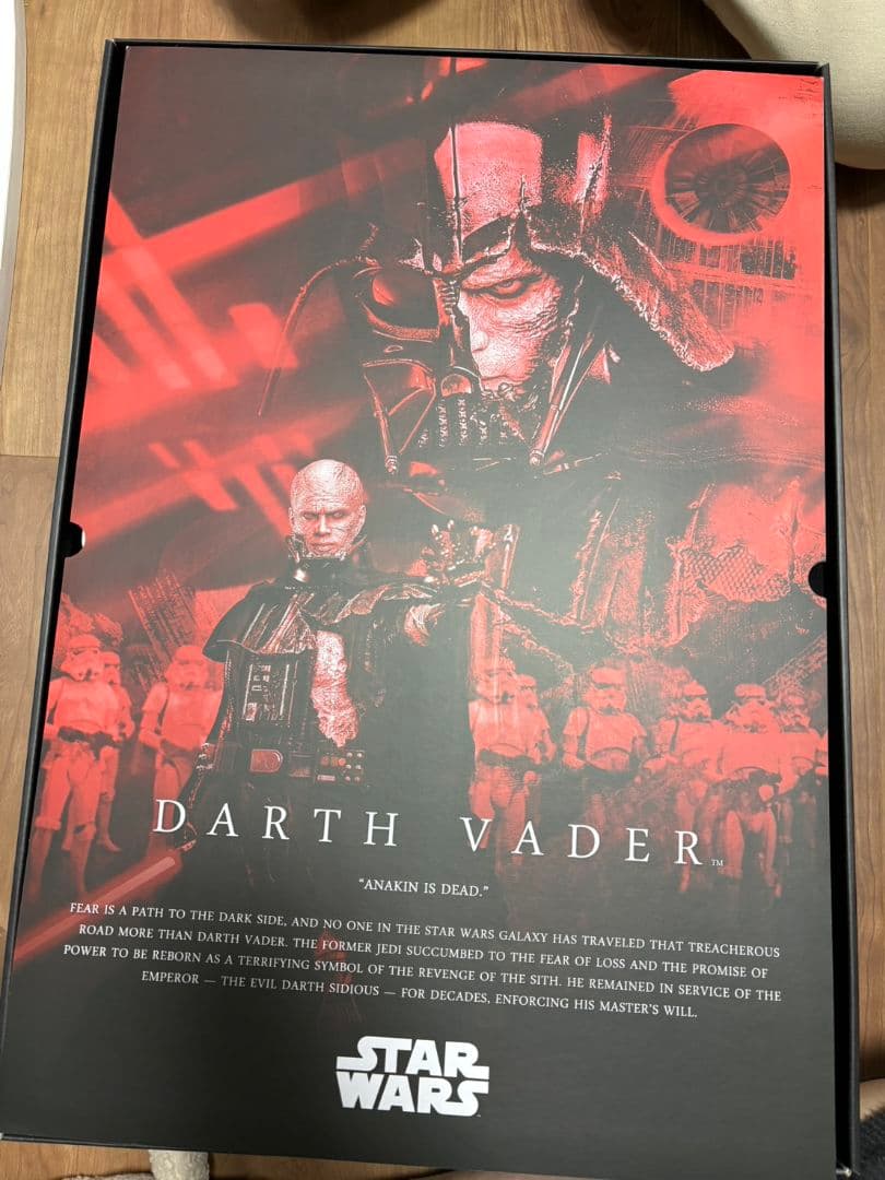 Darth Vader Battle Damaged 　ホットトイズ