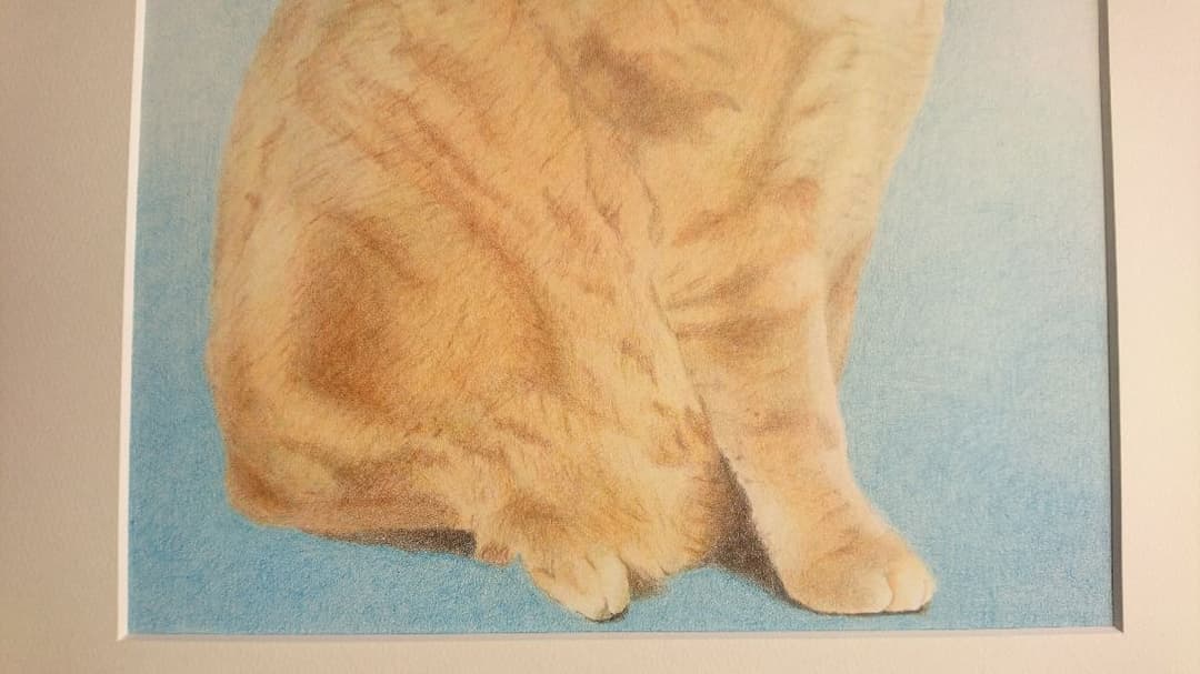 インテリアに☆ 絵画 猫 写実 色鉛筆画『cat』